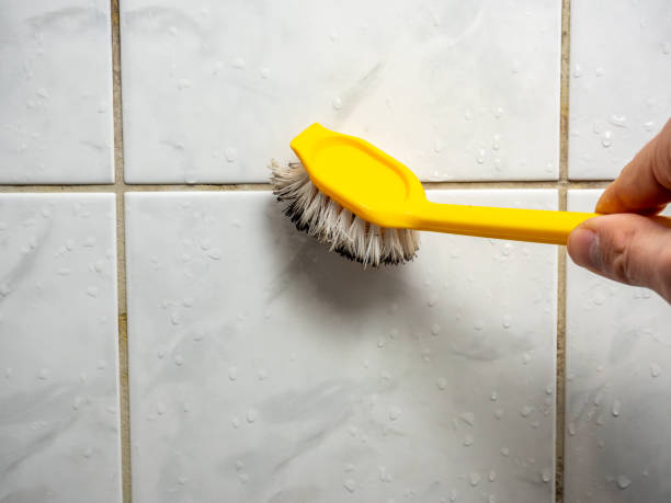 Best Mold Cleaning Services  in Long View, NC