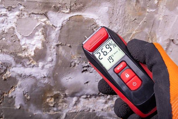 Mold Testing and Removal in Long View, NC