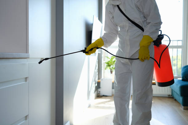Best Residential Mold Removal  in Long View, NC