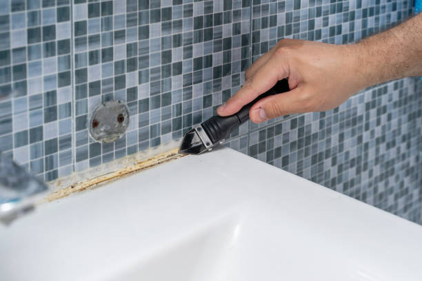 Best Local Mold Removal Service  in Long View, NC