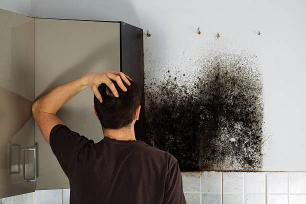 Best Crawl Space Mold Removal  in Long View, NC